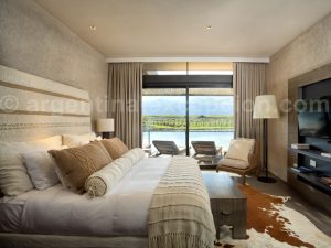 the-vines6 The Vines of Mendoza