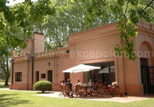 viboras1 Estancia las Viboras