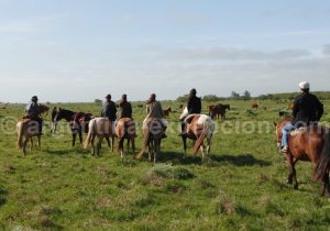 viboras31 Estancia las Viboras, promenade à cheval