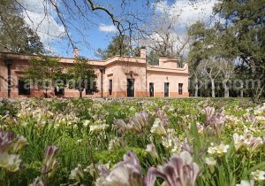 viboras6 Estancia las Viboras, Jardin